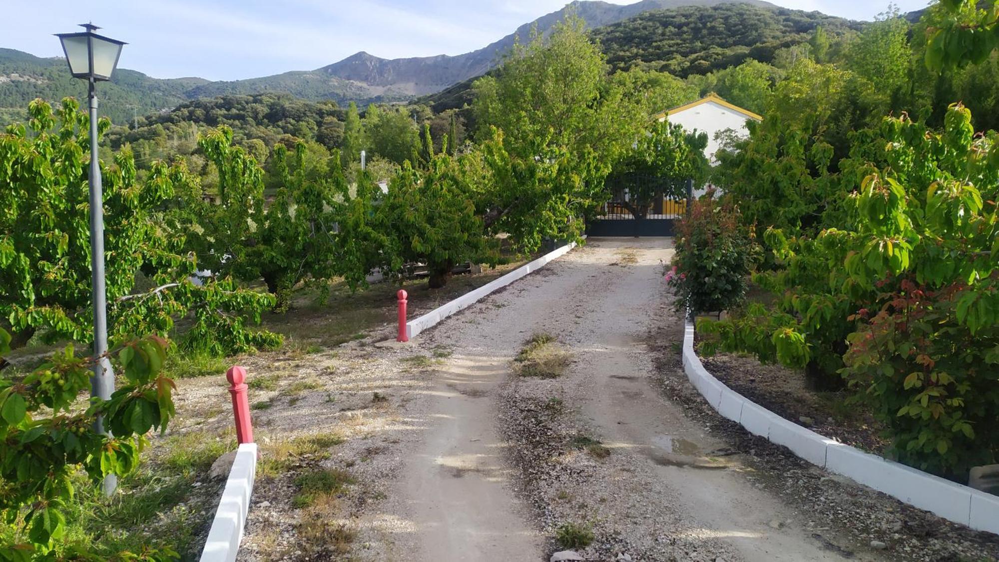 Los Cabales Torres  Luaran gambar