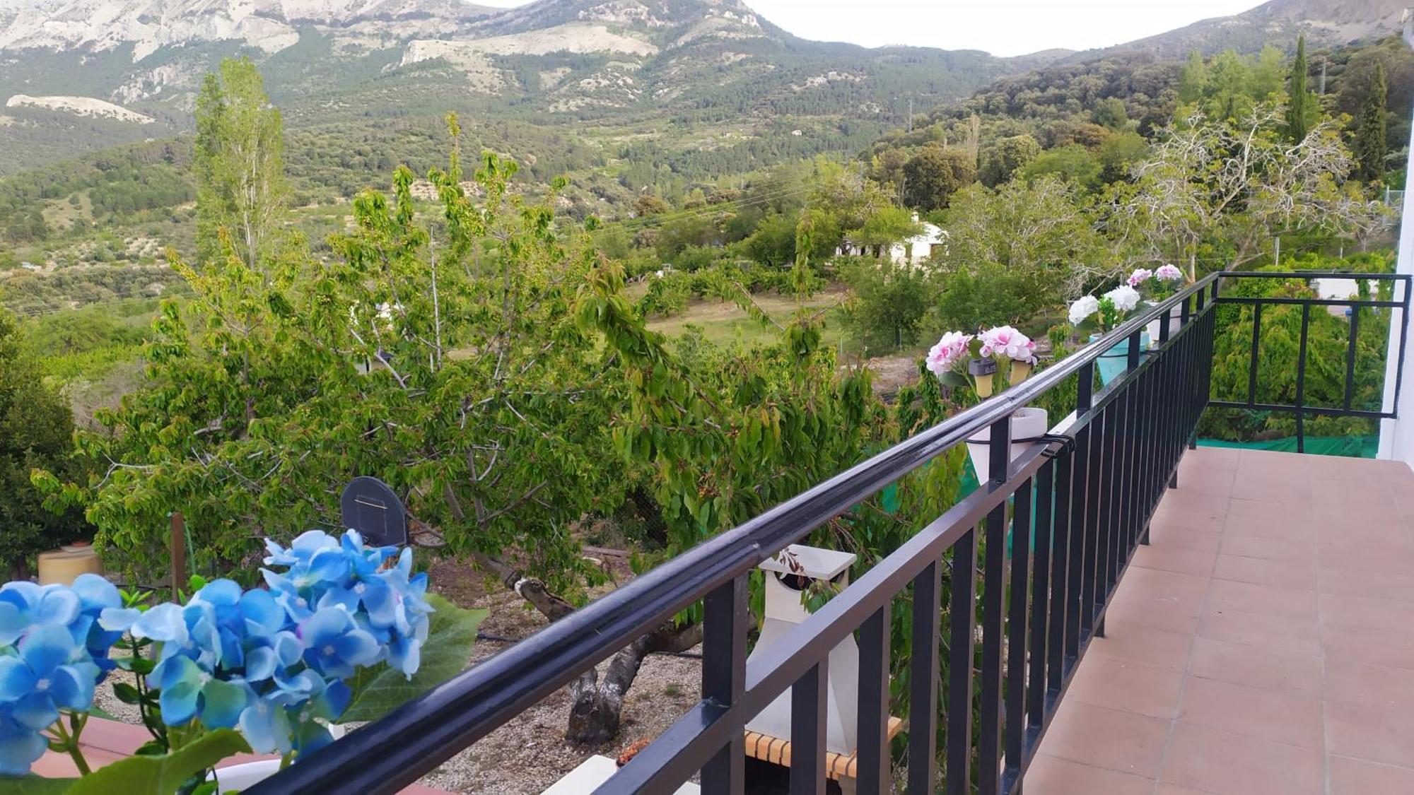 Los Cabales Torres  Luaran gambar